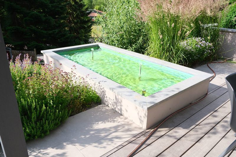 Modernes Wasserbecken in einem bepflanzten Garten