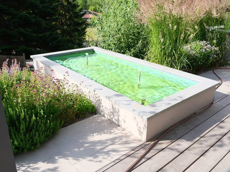 Rechteckiges Wasserbecken mit Naturstein und dichter Bepflanzung