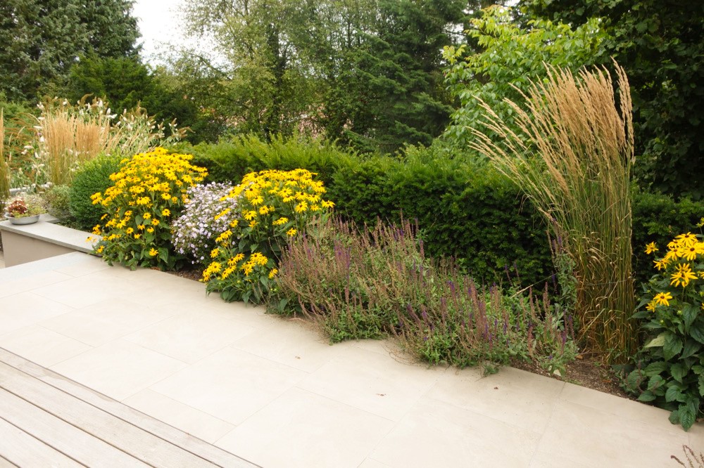 Blühendes Staudenbeet mit gelben Blüten und Gräsern an der Terrasse